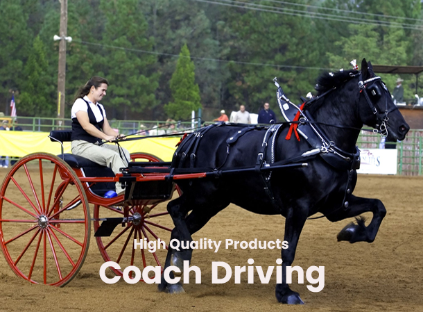 Coach Driving
