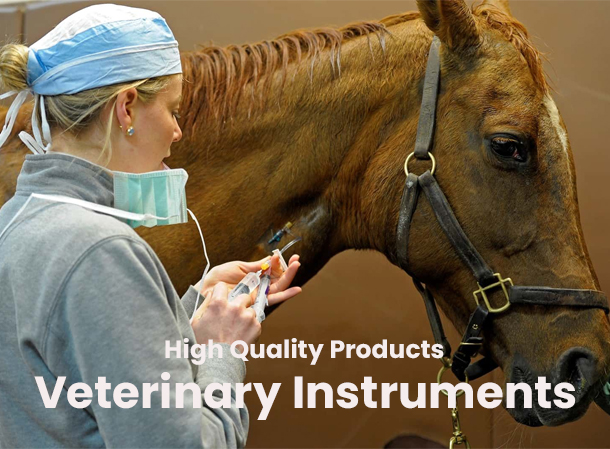 Veterinary Instruments